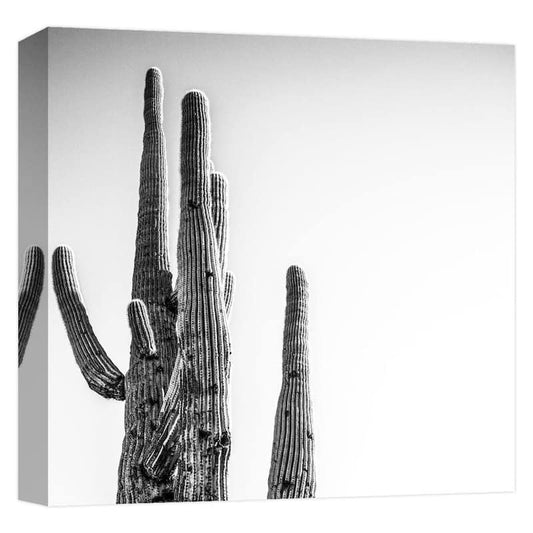 ''TALL AND LANCKY1'' Canvas Abstract Wall Art 15 in. x 15 in.